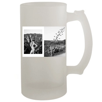 Aida 16oz Frosted Beer Stein