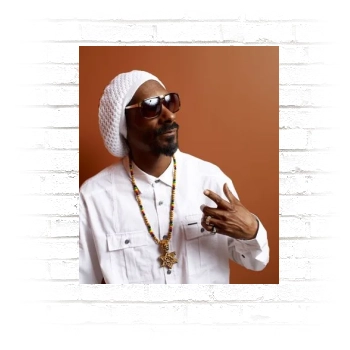Snoop Dogg Poster