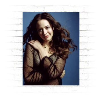 Amy Acker Poster