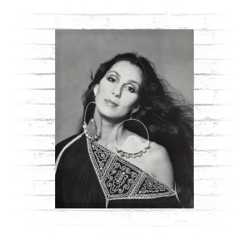 Cher Poster