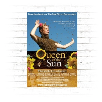Queen of the Sun: What Are the Bees Telling Us(2010) Poster