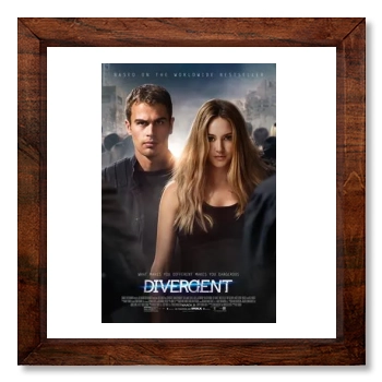 Divergent(2014) 12x12