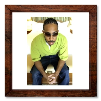 Ludacris 12x12