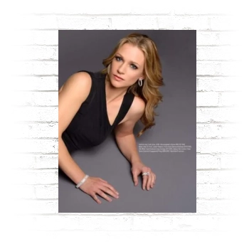 A. J. Cook Poster