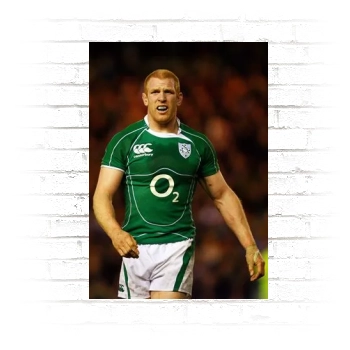 Ireland Rugby Poster