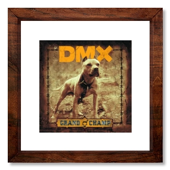 DMX 12x12