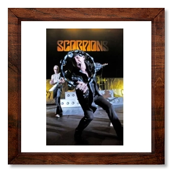 Scorpions 12x12